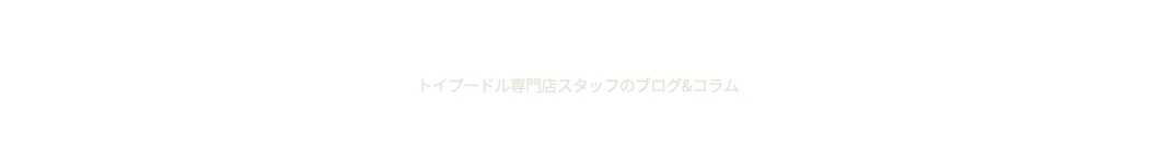 トイプードル専門店スタッフのブログ&コラム