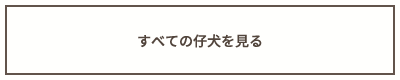 すべての仔犬を見る