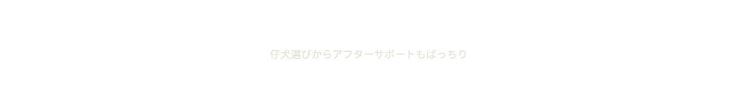 仔犬選びからアフターサポートもばっちり