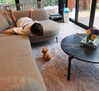 トイプードルと泊まれる高級宿「離れ風月（勝浦）」に宿泊してきました｜愛犬と客室露天風呂を楽しめるドッグオーベルジュ体験記