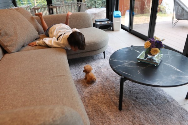 トイプードルと泊まれる高級宿「離れ風月（勝浦）」に宿泊してきました｜愛犬と客室露天風呂を楽しめるドッグオーベルジュ体験記